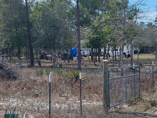 6939 NW PORTER GRADE RD. Road, Altha, FL 32421