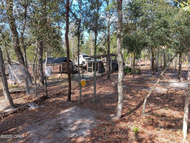 6939 NW PORTER GRADE RD. Road, Altha, FL 32421