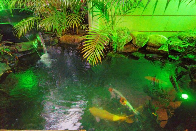 501 BROADWAY, Dunedin, FL 34698