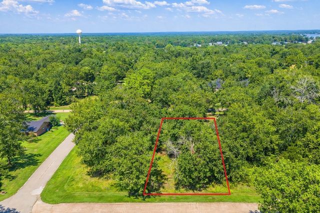 00 Deep Woods Lane, Livingston, TX 77351