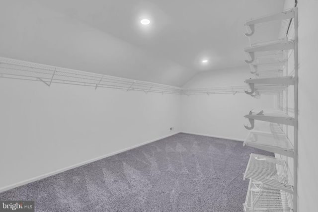 19 SUNFLOWER CIR, Burlington, NJ 08016