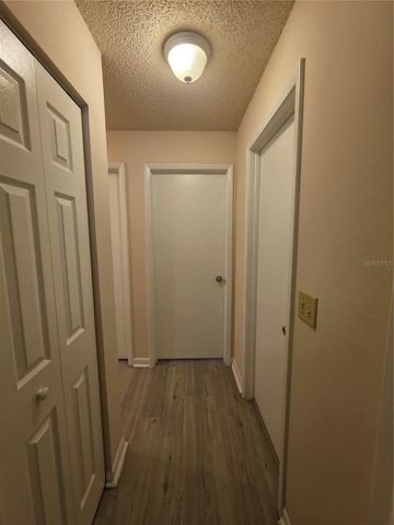 5194 SUNRIDGE PALMS DRIVE, Tampa, FL 33617