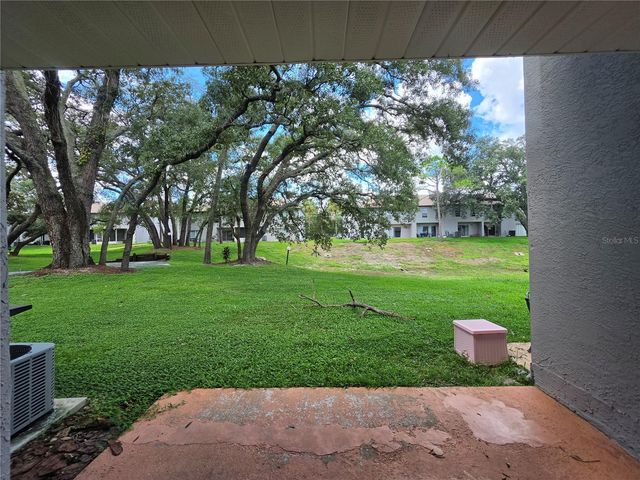 5194 SUNRIDGE PALMS DRIVE, Tampa, FL 33617