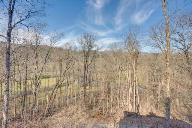 38 Smoky Mtn Ridge, Marble, NC 28905