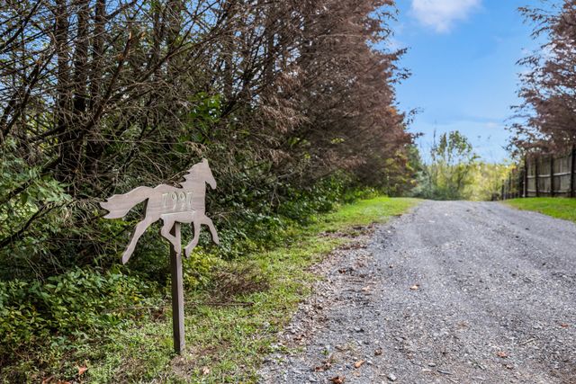7997 Shoals Branch Rd, Primm Springs, TN 38476