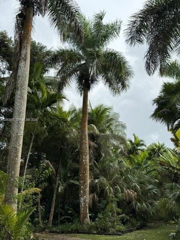 23805 SW 142nd Avenue, Miami, FL 33032