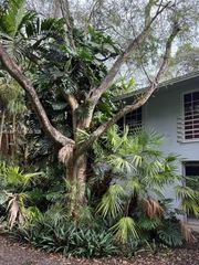 23805 SW 142nd Avenue, Miami, FL 33032