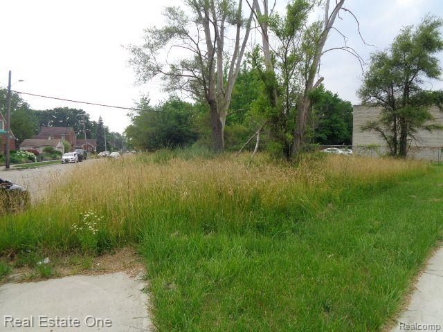 18553 James Couzens Freeway, Detroit, MI 48235