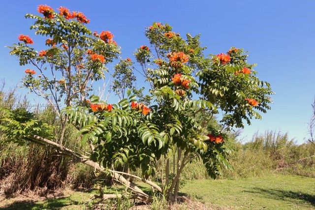 20275 SW 396th St, Homestead, FL 33034