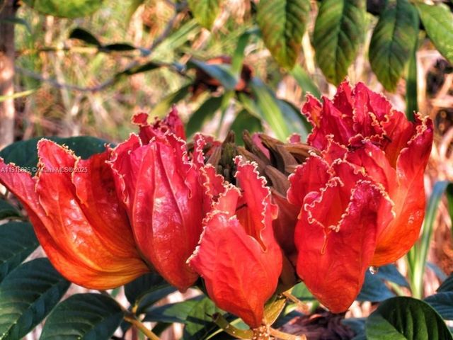 20275 SW 396th St, Homestead, FL 33034