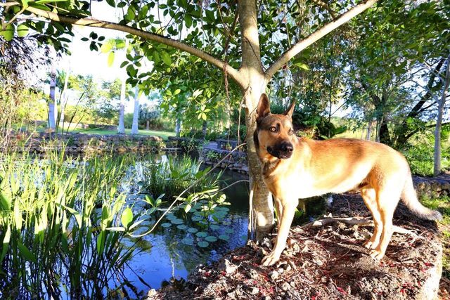 20275 SW 396th St, Homestead, FL 33034