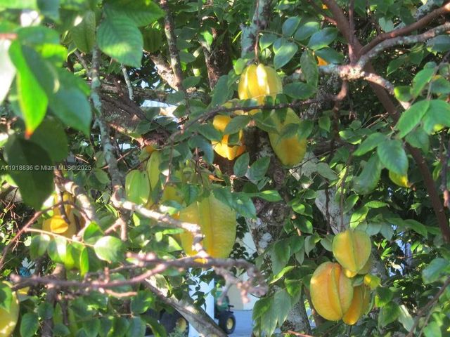 20275 SW 396th St, Homestead, FL 33034