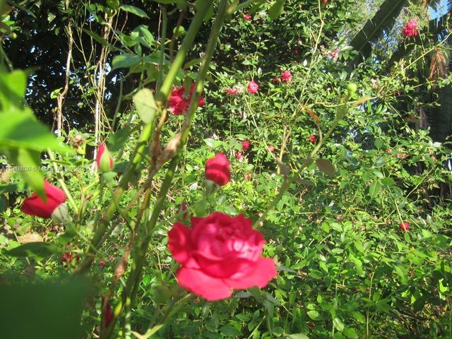 20275 SW 396th St, Homestead, FL 33034