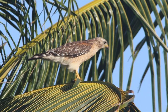 20275 SW 396th St, Homestead, FL 33034