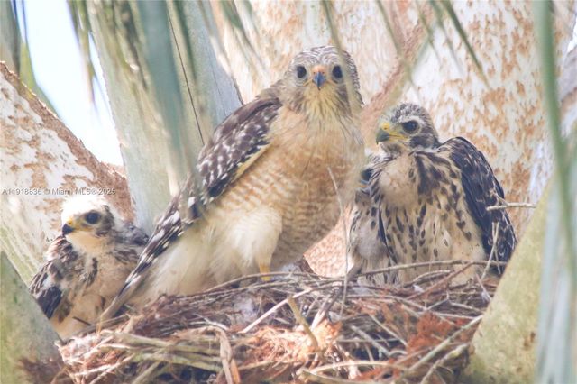 20275 SW 396th St, Homestead, FL 33034