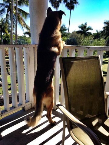 20275 SW 396th St, Homestead, FL 33034