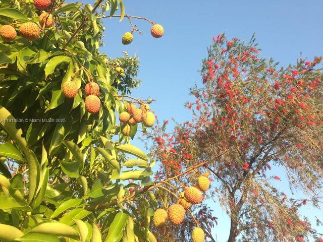 20275 SW 396th St, Homestead, FL 33034