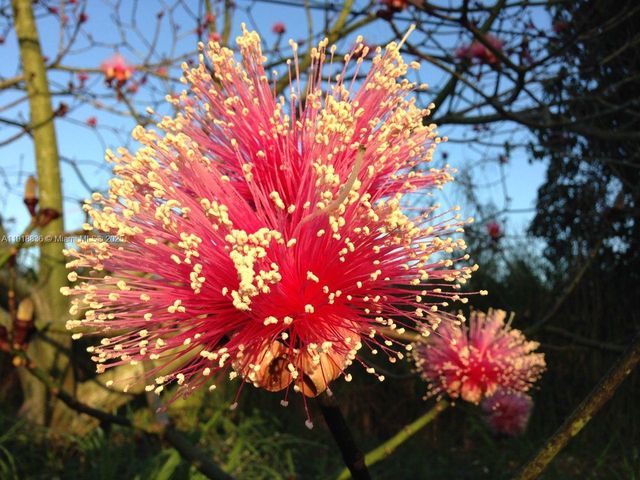 20275 SW 396th St, Homestead, FL 33034