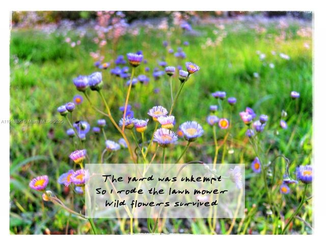 20275 SW 396th St, Homestead, FL 33034