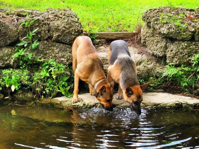 20275 SW 396th St, Homestead, FL 33034