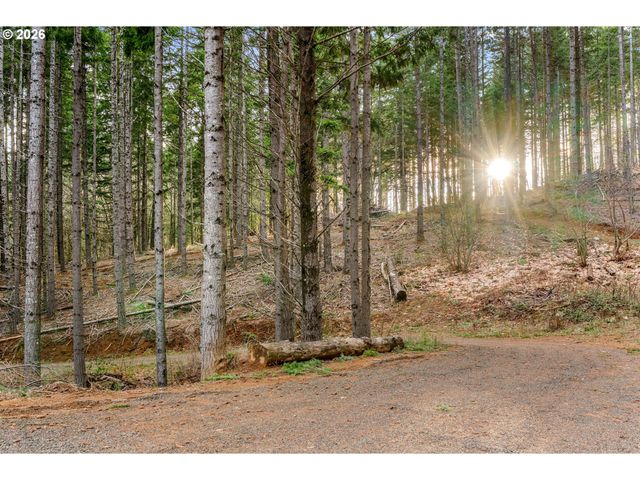 1202 SCOGGINS Rd, Underwood, WA 98651