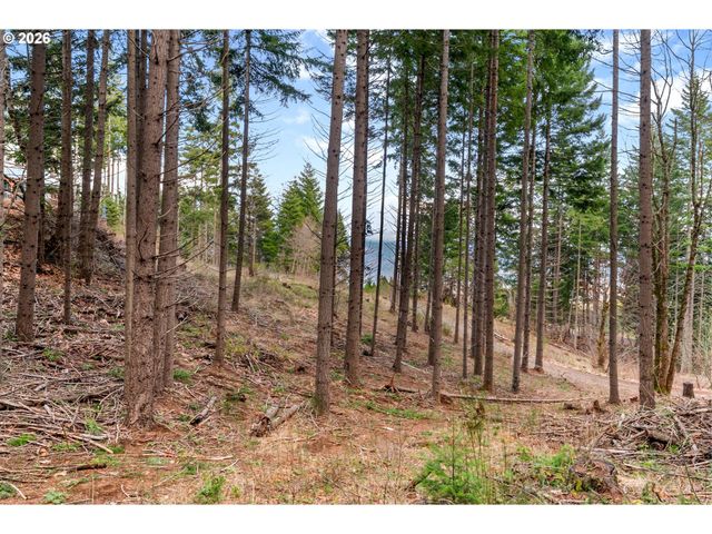 1202 SCOGGINS Rd, Underwood, WA 98651