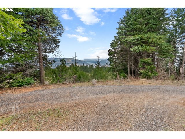 1202 SCOGGINS Rd, Underwood, WA 98651