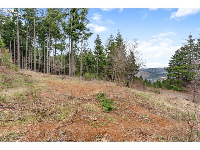 1202 SCOGGINS Rd, Underwood, WA 98651