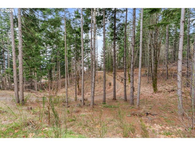 1202 SCOGGINS Rd, Underwood, WA 98651