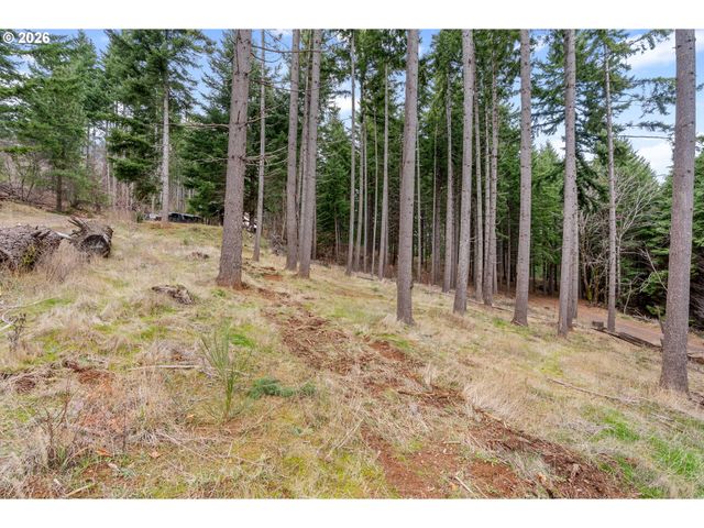 1202 SCOGGINS Rd, Underwood, WA 98651