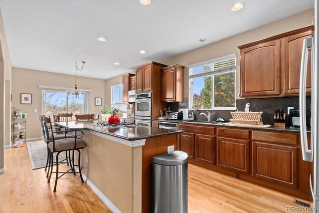 13251 Wild Basin Way, Broomfield, CO 80020