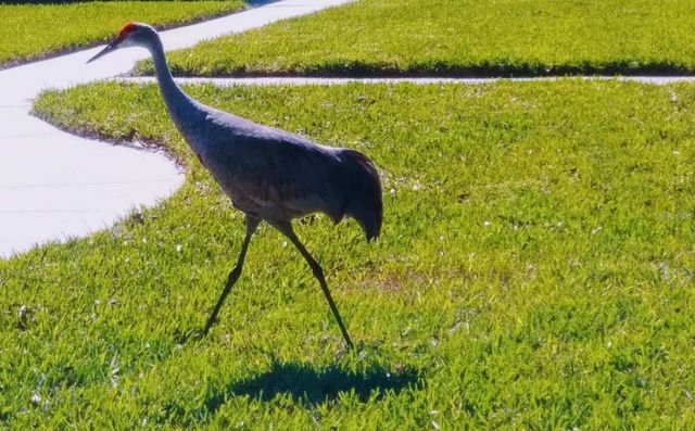 5688 MASHIE CIRCLE, North Port, FL 34287