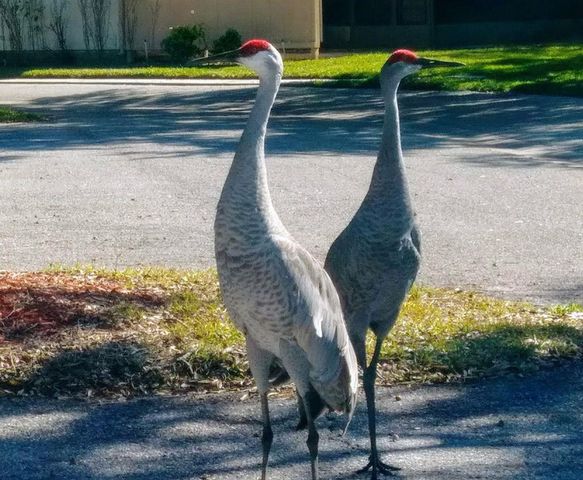 5688 MASHIE CIRCLE, North Port, FL 34287