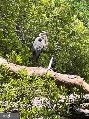 12020 ASSATEAGUE WAY, Berlin, MD 21811