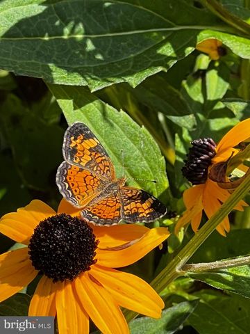 12020 ASSATEAGUE WAY, Berlin, MD 21811