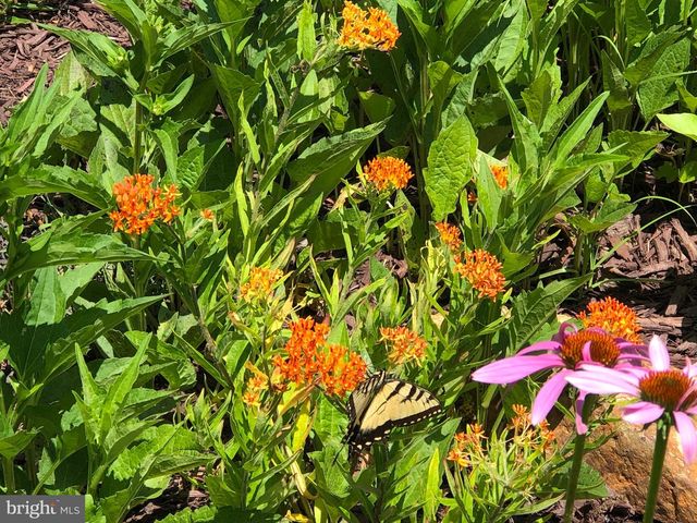 12020 ASSATEAGUE WAY, Berlin, MD 21811