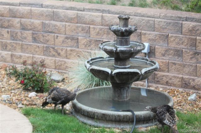 620 Cumberland Road, Larkspur, CO 80118