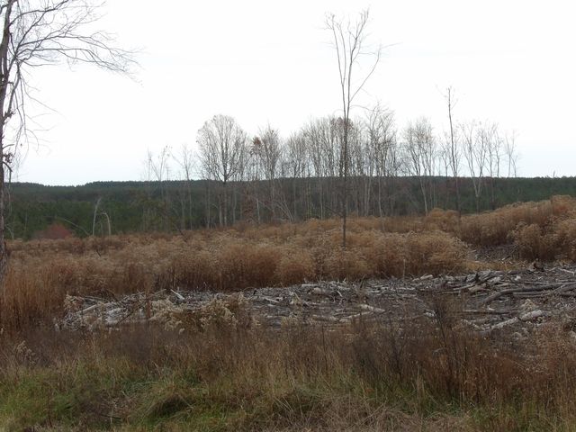 Lot 20 Summercity Road, Evensville, TN 37332