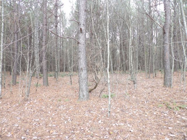 Lot 20 Summercity Road, Evensville, TN 37332