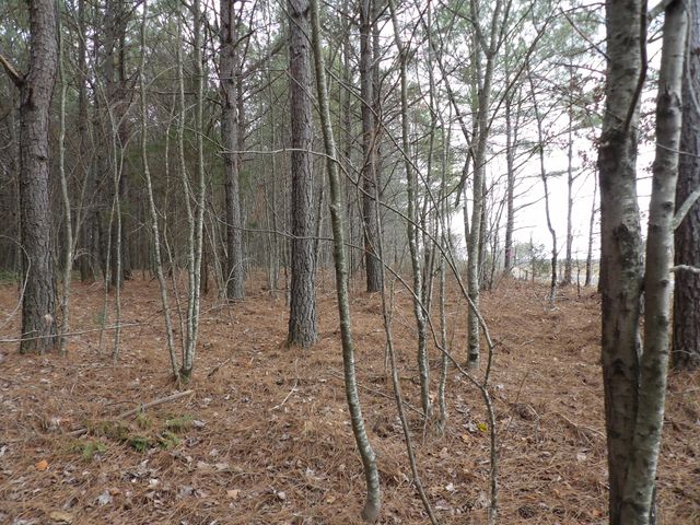 Lot 20 Summercity Road, Evensville, TN 37332