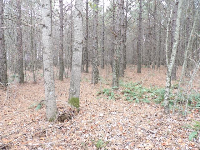 Lot 20 Summercity Road, Evensville, TN 37332
