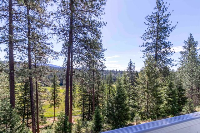 29414 N Selkirk View Dr, Chattaroy, WA 99003