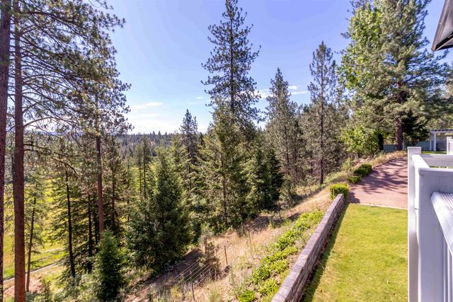 29414 N Selkirk View Dr, Chattaroy, WA 99003