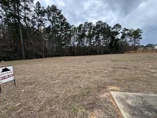 695 Wedgewood Park, Conroe, TX 77304