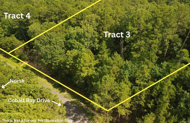 Tract 4 Cobalt Bay Drive, Shirley, AR 72153