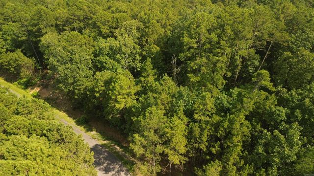 Tract 4 Cobalt Bay Drive, Shirley, AR 72153
