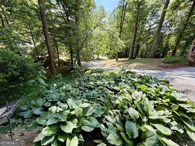 238 Trails End Road, Blue Ridge, GA 30513