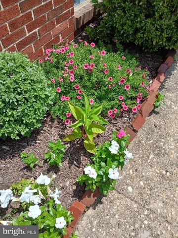 2814 CHESLEY AVE, Baltimore, MD 21234