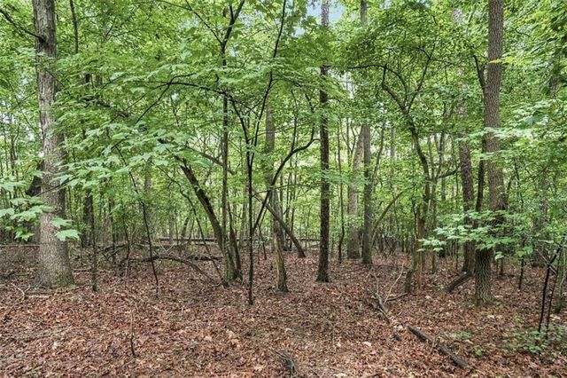 LOT 58 Red Bud Lane, Ellijay, GA 30540