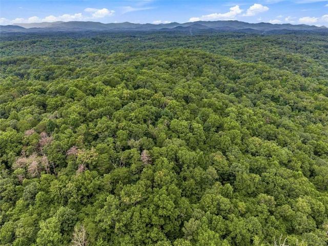 LOT 58 Red Bud Lane, Ellijay, GA 30540